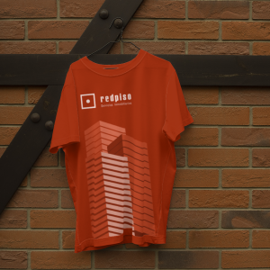 Camiseta edificils
